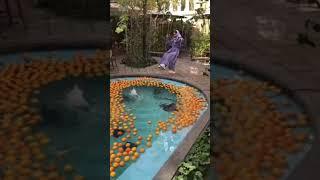 به کانال هم سربزنین اگه دوست داشتین #تهران #تهرانگردی #تابستان #سفرنامه #دیدنی_ها  #Iran #Summer