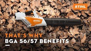 STIHL BGA 56/57* ꘡ The benefits of the cordless leaf blower | That's why