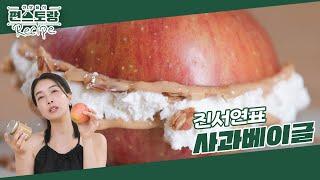 진서연도 매일 먹는 건강식 사과X땅콩버터 조합! 비주얼도 예쁜 [사과베이글]로 더 맛있게 [신상출시 편스토랑/Fun-Staurant] | KBS 240823 방송