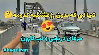 اهواز خوزستان ایران| پل سفید| اهواز گردی| مهاجرت مرغان دریایی| زمستان لب کارون|Ahvaz karoun