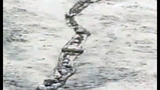 Icelandic river monster caught on tape?