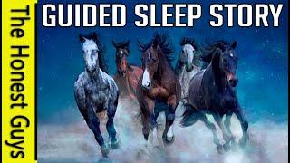 The Land of The Horses: Guided Sleep Story (Dreamweaver Series)