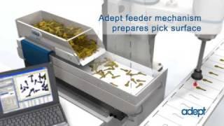 Adept AnyFeeder with Cobra s600 Pick&Place