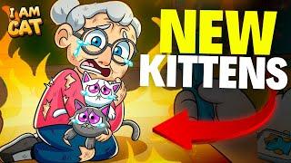 ARE GRANDMA'S NEW KITTENS BAD? in (I Am Cat VR) Animation