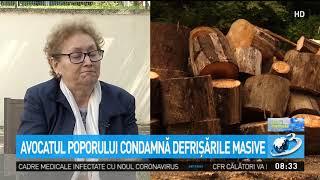 Exclusiv! Avocatul poporului condamnă defrişările masive: Avem un raport foarte serios pe tema ac