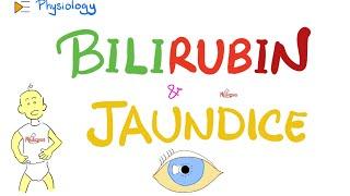 Bilirubin Metabolism & Jaundice - Gastrointestinal (GI) Physiology & Pathology- Physiology Series