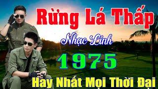 Rừng Lá Thấp, Người Mang Tâm Sự ...Nhạc Bolero Trữ Tình Hay Nhất 2025 - LK Nhạc Xưa Bất Hủ Hay Nhất
