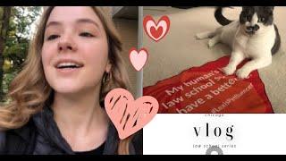 Law School Vlog | Chicago | productive days, studying, Weee! haul