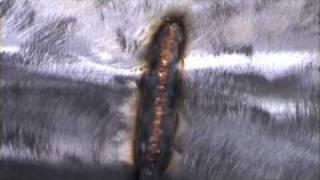 EUROTEC PRODUKTS - Telwin 225 MiG Welder