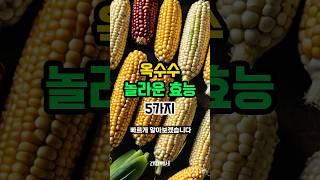 옥수수의 놀라운 효능을 알려드립니다. 혈관건강 골다공증 항암 노화 당뇨 #건강정보 #건강 #옥수수 #효능