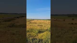 Отель Авиатор. Вид из окна. Ленинградская область. Июль 2024г (Часть 2) #авиатор #отель