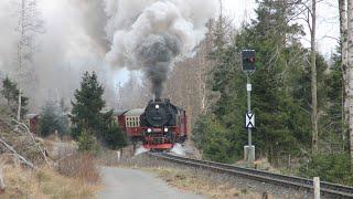 Die Harzer Schmalspurbahn im Frühling 2024 / von Wernigerode zum Brocken