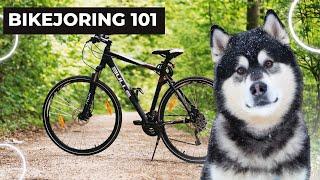 What is Bikejoring?