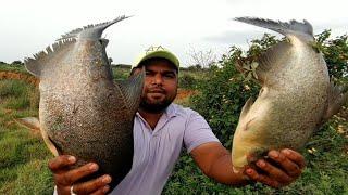 Best 6 Hooks fishing Techniques & Catching Big Rupchand fish in Village Deep Pond|Unique fishing