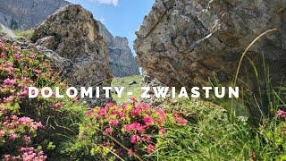 DOLOMITY-ZWIASTUN