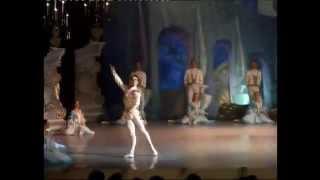 Evgen Lagunov - variation from The Marriage of Figaro ballet