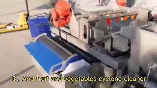 Industrial Fruit and Vegetable Washing Equipment Spinach Cabbage Lettuce Salad Vegetable Processing