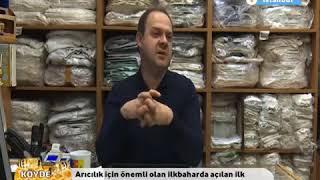 Aricilik İçin Önemli Olan İlkbaharda Açılan İlk Çicekler Hangileridir ?