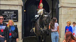 TOUCHING THE HORSES IS BACK AND CONFUSES THE TOUR GUIDE AND HER TOURISTS at Horse Guards!