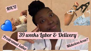 37-39 weeks|Prodromal Labor| Labor & Delivery|Midwives Brew?