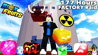 Destroying 118 Factory Raid in 177 Hours Farming Mythical and Legendary Fruits in Blox Fruit