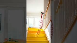 The Strange Tale of the Slinky: A Staircase Wonder