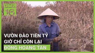 Vườn đào tiền tỷ bị xoá sổ vì lũ, nông dân khóc nức nở | VTC16