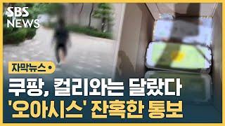 쿠팡, 컬리와는 달랐다…잔혹한 '오아시스마켓' (자막뉴스) / SBS