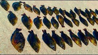 Catch Loads Of Everglades Roadside Fish (Part 2 Six Days Camping and Fishing Florida)