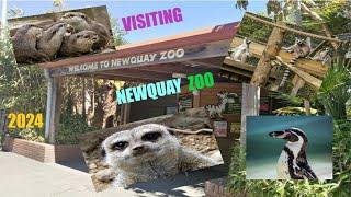 Visiting Newquay Zoo in 2024