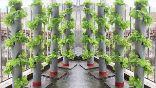 Automatic Watering Stand Garden Idea _ Recycling PVC Pipe Makes Beautiful Cegetable Garden Clean