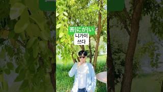 일본어 회화 기초 재미있게 공부하는 일본어 형용사 정중형 1 (달다, 쓰다) #shorts