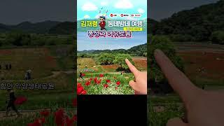 숲이 숨쉬어야 나도 쉰다 #함안 악양생태공원