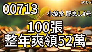 【靠00713整年爽領52萬 | 長期買進持有股息再投入享受時間複利的成果】00675L、00670L、0056、00878、00713每週復盤學2024/11/29