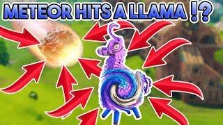 WHAT HAPPENS WHEN A METEOR HITS A LLAMA!!??