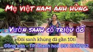 Mẹ việt Nam Anh hùng sở hữu vườn cây sanh cổ khủng  triệu đô, 1 đôi cây sanh cổ giá gần 10tỉ