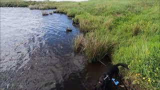 Binevenagh Forest, Mountain Top Lake & walk County Londonderry 25th June 2022