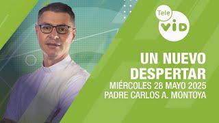Un Nuevo Despertar Miércoles 28 Mayo 2025  Padre Carlos Andrés Montoya #TeleVID #OraciónMañana
