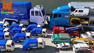 Garbage Truck Collects Trash & Transportation Vehicle Carries Cars!【Kuma's Bear Kids】