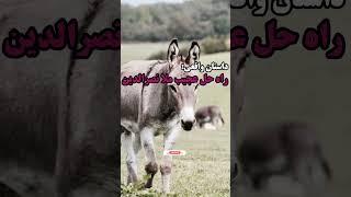 داستان واقعی و طنز:راه حل های ملا نصرالدین#shorts