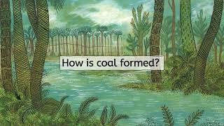 How coal is formed