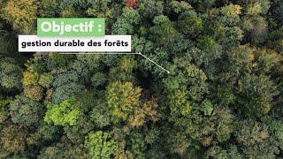 Objectif : gestion durable des forêts