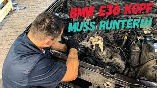 BMW E36 320i Low Budget Projekt #10.2 Zylinderkopf muss runter  | DailyVlog #14