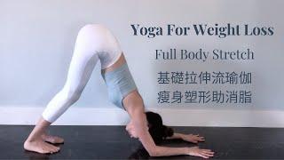 基礎拉伸流瑜伽 | 瘦身塑形 有助消脂 | 15 Min Full Body Stretch | Yoga For Weight Loss