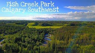 Flight over the Fish Creek Park - Calgary, Alberta - Canada