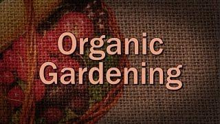 Organic Gardening - Family Plot