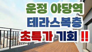 가성비최고의 운정 야당역신축빌라 테라스복층/ 방4개/ 욕실3개