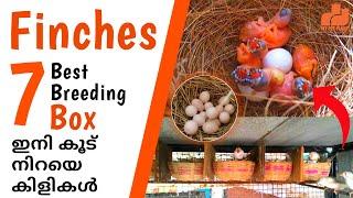 7 Best Finches Breeding Box | Finches Nest Box | Finches Birds in Malayalam | MY PET PLANT