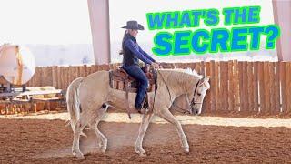 Horse Training: The Secret to Collecting your Horse - Part 1