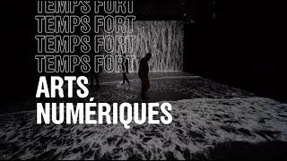 Temps fort - Arts numériques